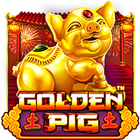 Golden Pig