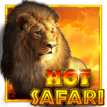 Hot Safari