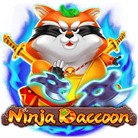 Ninja raccoon