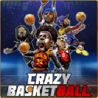 Crazy Basketball